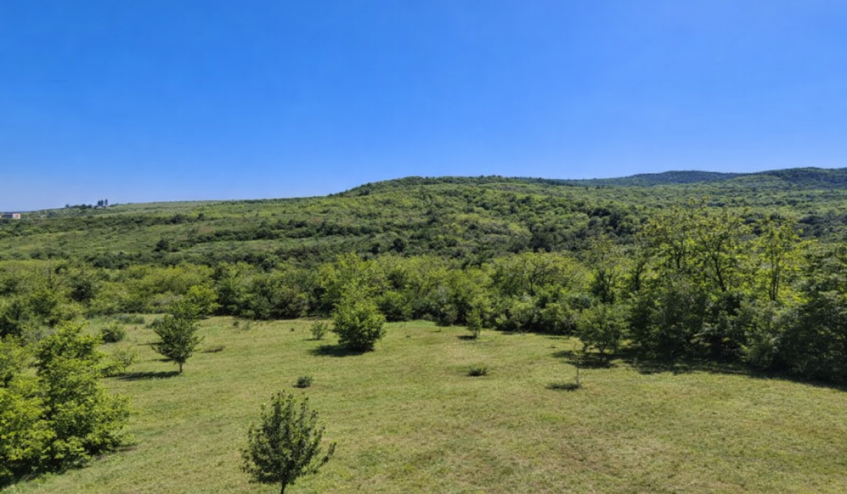 Kuća Prodaja Novi Sad Kuća Prodaja Novi Sad 76 m2