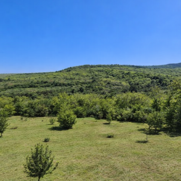 Kuća Prodaja Novi Sad  76 m2