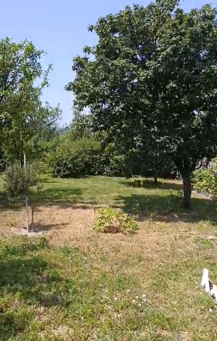 Kuća Prodaja Fruška Gora  56 m2