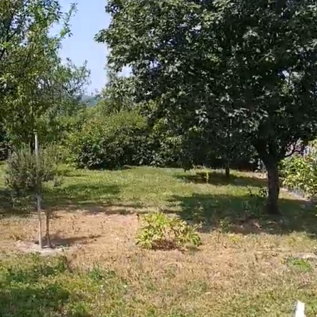 Kuća Prodaja Fruška Gora  56 m2