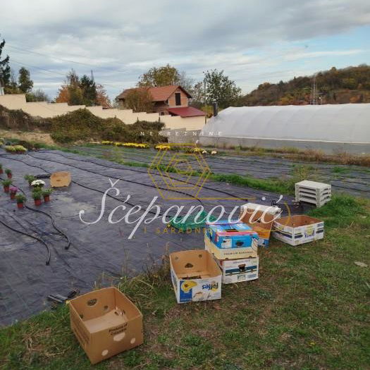 Plac Prodaja Novi Sad Čardak 693 m2