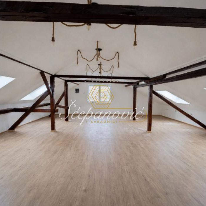 Lokal Izdavanje Novi Sad  144 m2
