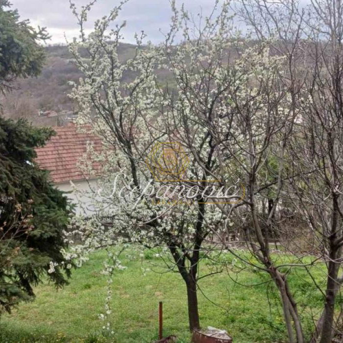 Kuća Prodaja Novi Sad  73 m2