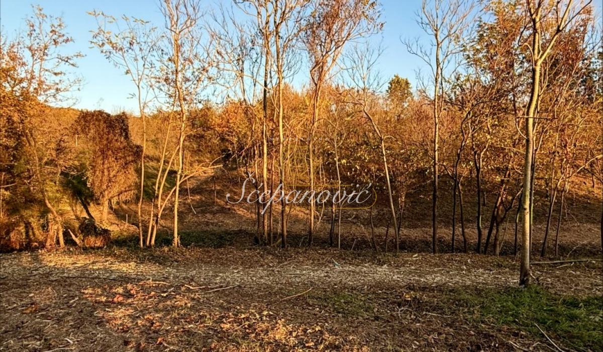 Plac na prodaju, Vrdnik, Irig, 4677m², 135.000 €