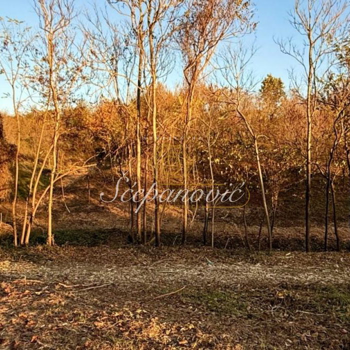Plac na prodaju, Vrdnik, Irig, 4677m², 135.000 €