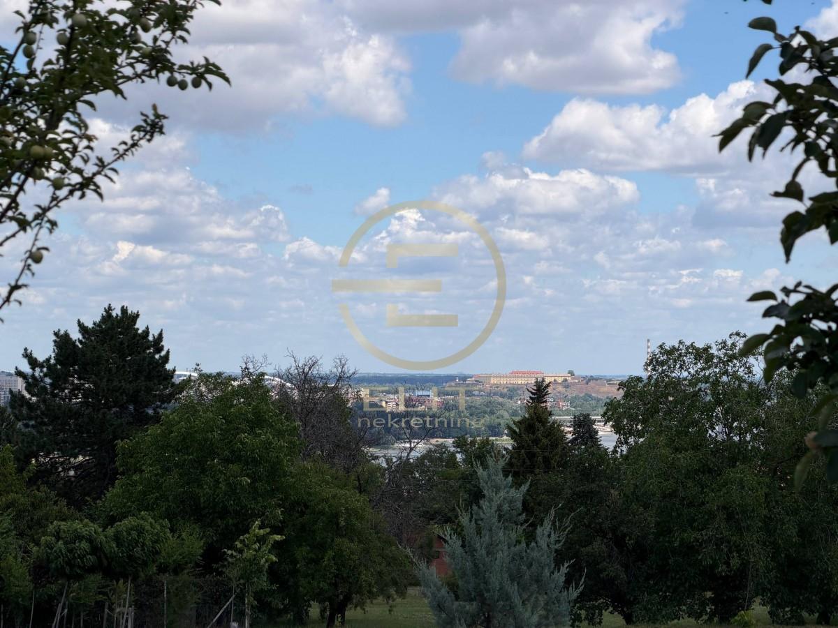 Plac Prodaja Novi Sad Bocke 550 m2