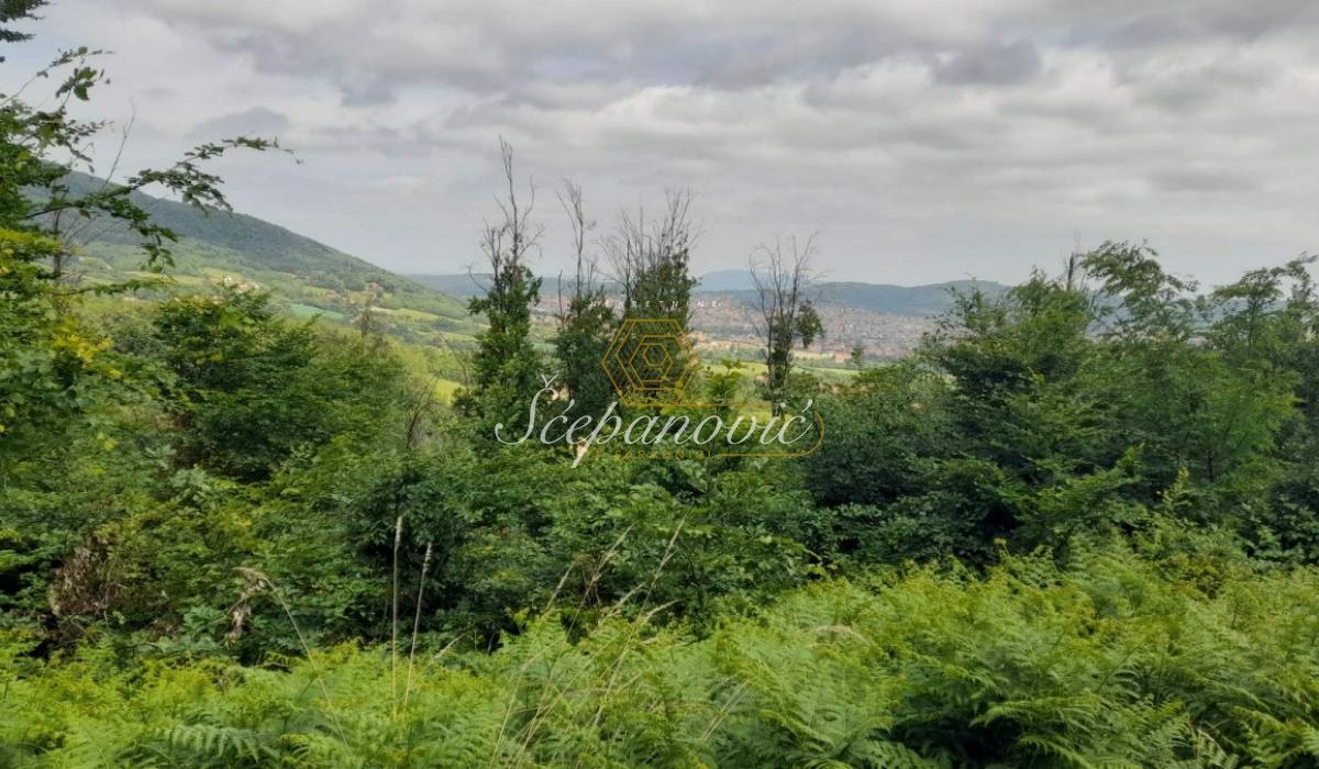 Plac na prodaju, Vrbica, Aranđelovac, 53082m², 37.500 €