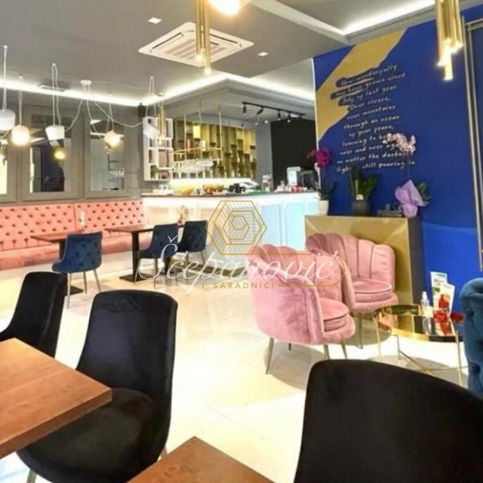 Lokal Prodaja Sremski Karlovci  205 m2