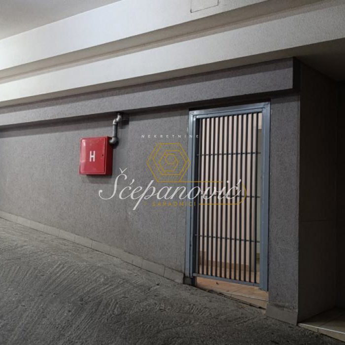 Lokal Izdavanje Novi Sad  229 m2