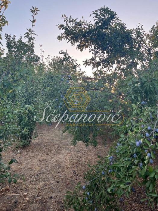 Plac Prodaja Bečej Plac Prodaja Bečej 1877 m2