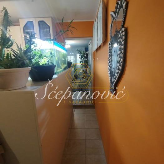 Stan Prodaja Novi Sad  54 m2