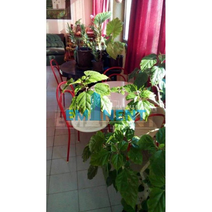 Kuća Prodaja Aranđelovac  250 m2