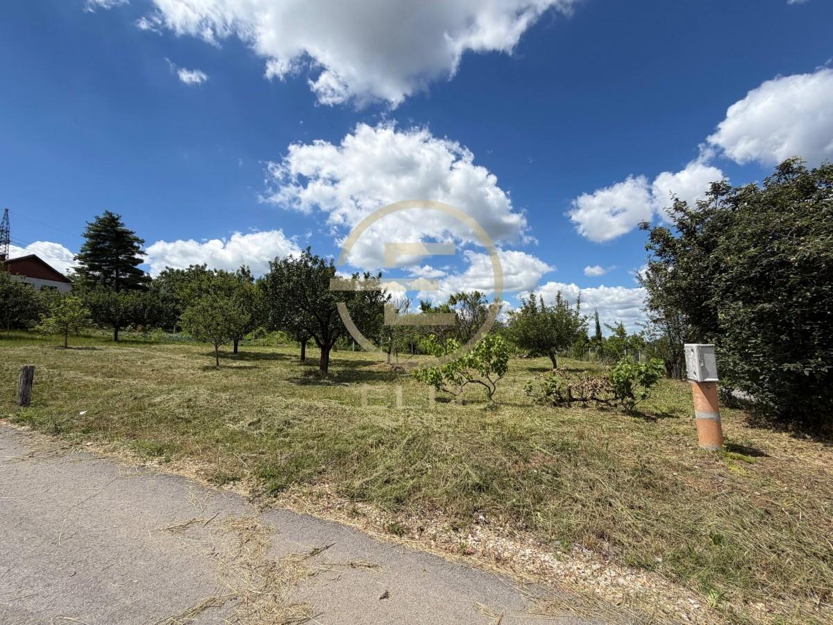 Plac Prodaja Novi Sad Bocke 550 m2