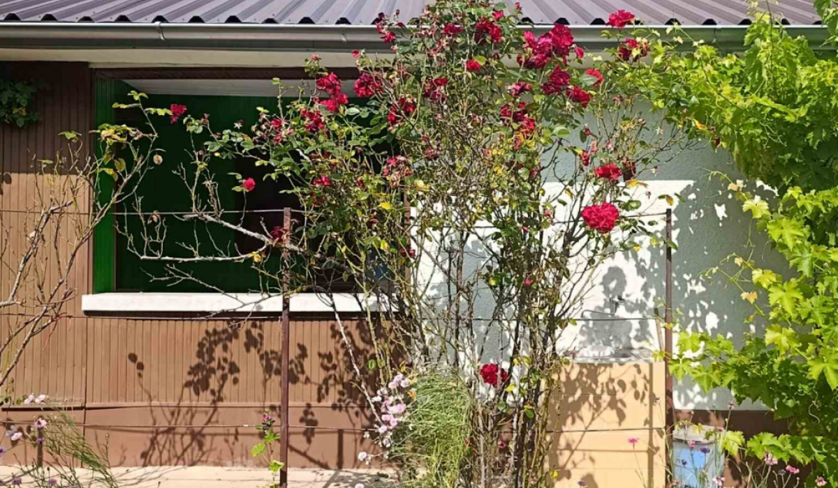 Kuća Prodaja Fruška Gora  56 m2