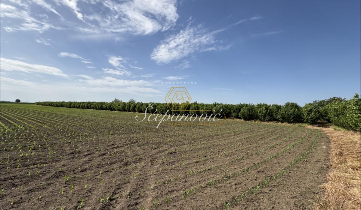 Plac Prodaja Sremska Mitrovica Plac Prodaja Sremska Mitrovica 22289 m2