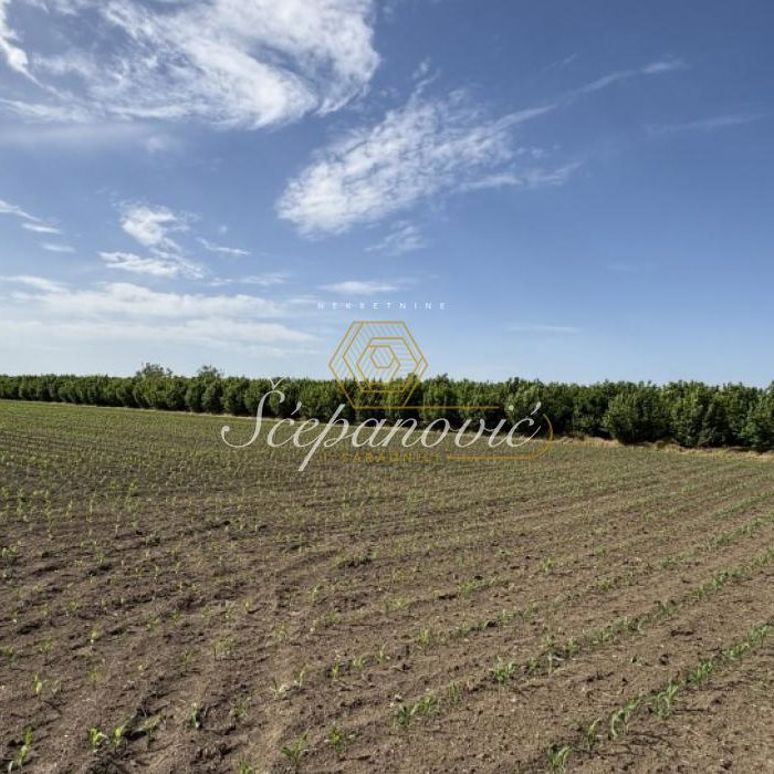Plac Prodaja Sremska Mitrovica  22289 m2