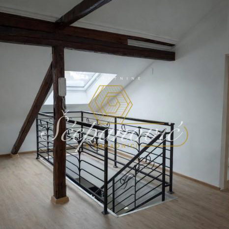 Lokal Izdavanje Novi Sad  144 m2