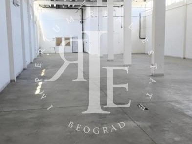 Lokal Izdavanje Beograd Altina 1265 m2