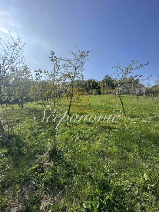 Plac Prodaja Irig  1678 m2