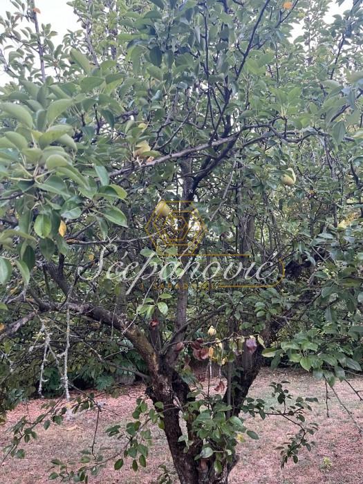 Plac Prodaja Bečej Plac Prodaja Bečej 1877 m2