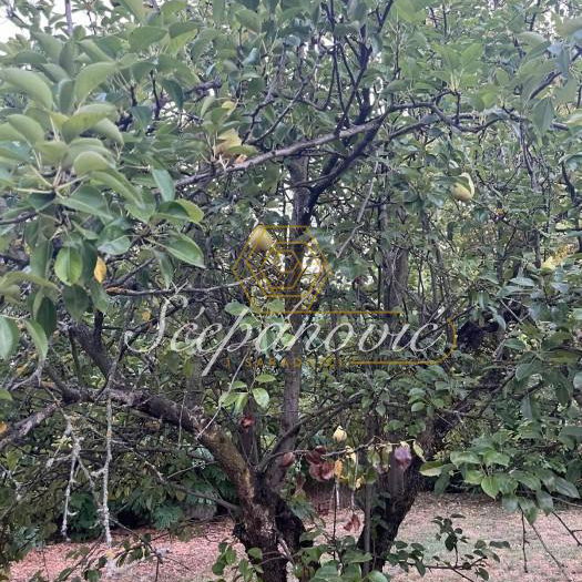 Plac Prodaja Bečej  1877 m2