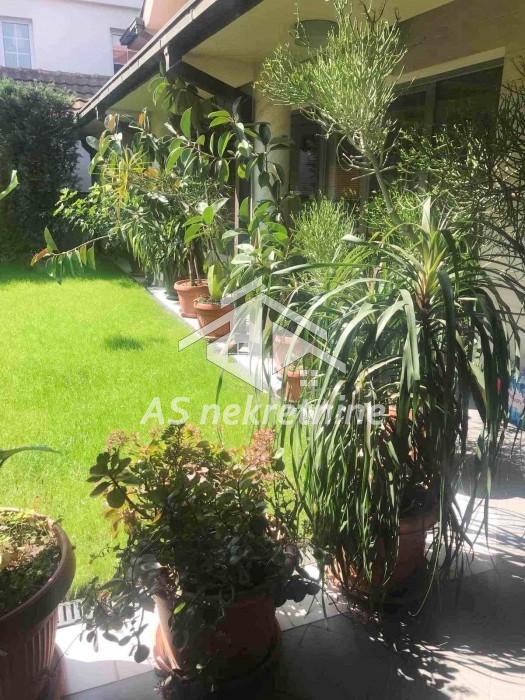 Kuća za izdavanje, FON, Beograd, 400m², 5.000 €/mes
