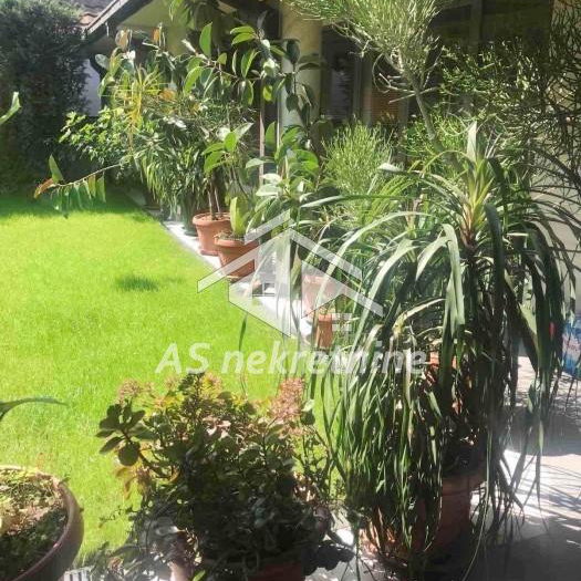Kuća za izdavanje, FON, Beograd, 400m², 5.000 €/mes