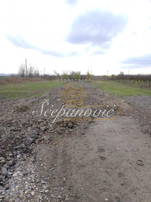 Plac Prodaja Novi Sad Plac Prodaja Novi Sad 5420 m2