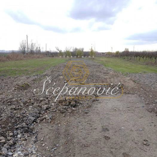 Plac Prodaja Novi Sad  5420 m2
