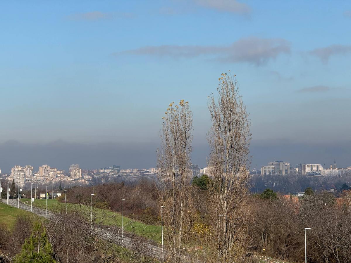 Plac Prodaja Novi Sad Plac Prodaja Novi Sad Popovica 1395 m2