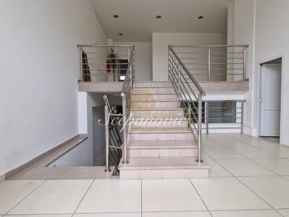 Lokal Prodaja Novi Sad  155 m2