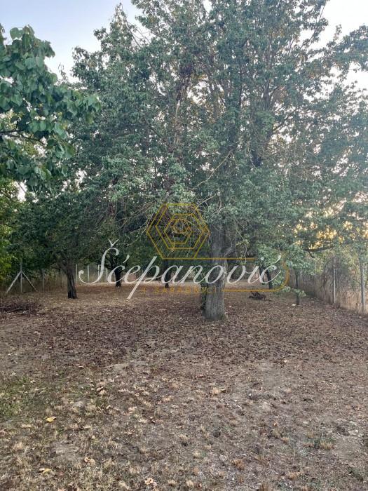 Plac Prodaja Bečej Plac Prodaja Bečej 1877 m2