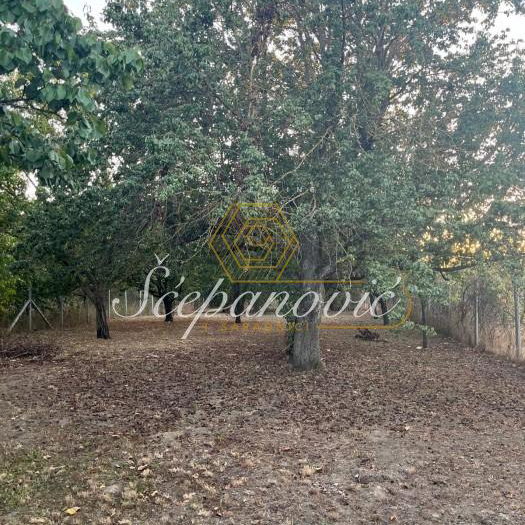 Plac Prodaja Bečej  1877 m2
