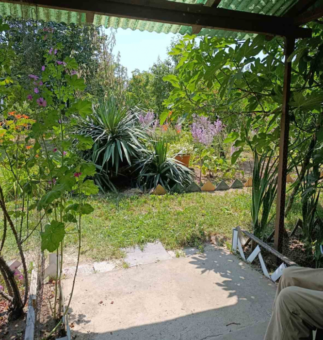 Kuća Prodaja Fruška Gora  56 m2