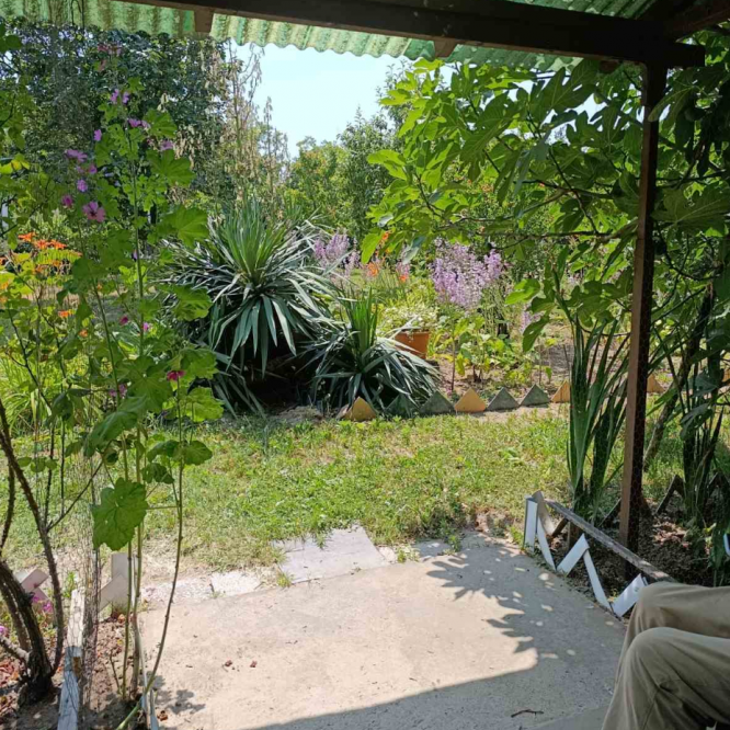 Kuća Prodaja Fruška Gora  56 m2
