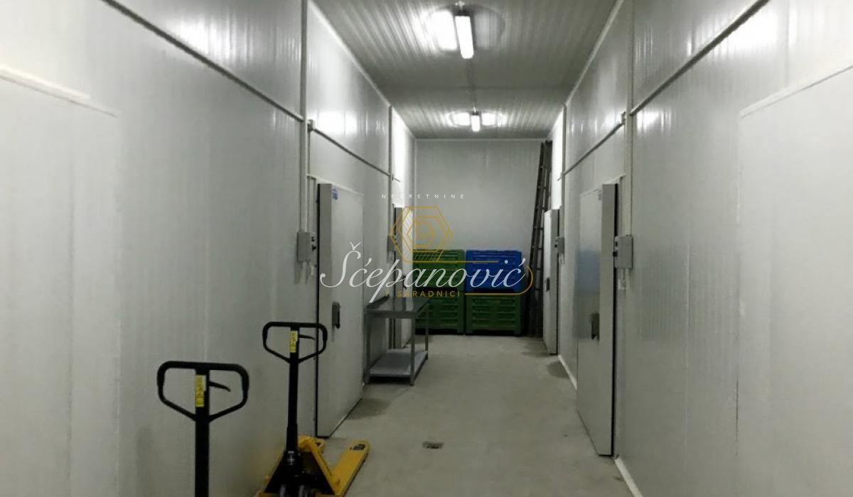 Lokal Prodaja Bečej  306 m2