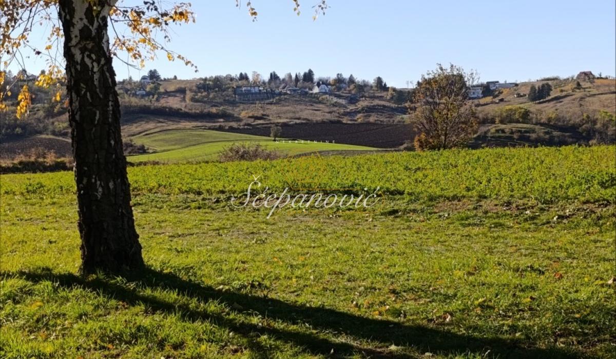 Plac na prodaju, Bukovac, Novi Sad, 21066m², 585.000 €