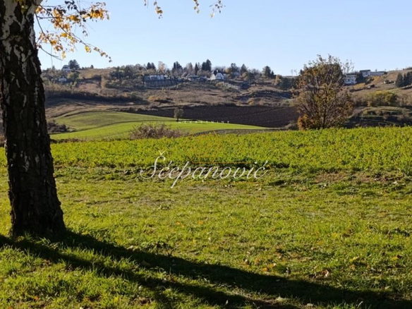 Plac Prodaja Novi Sad  21066 m2