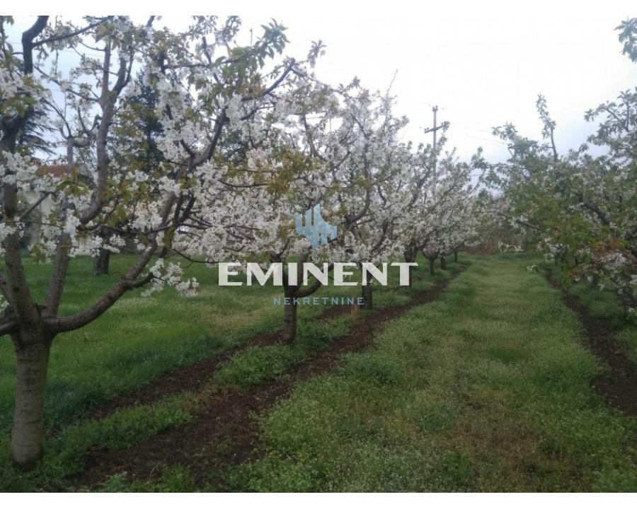 Kuća Prodaja Smederevo Kuća Prodaja Smederevo 100 m2