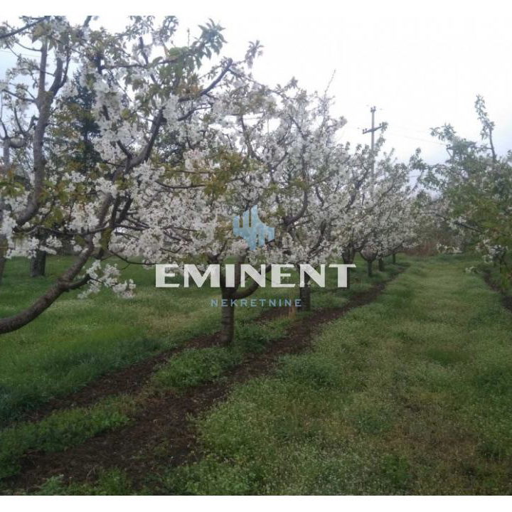 Kuća Prodaja Smederevo  100 m2