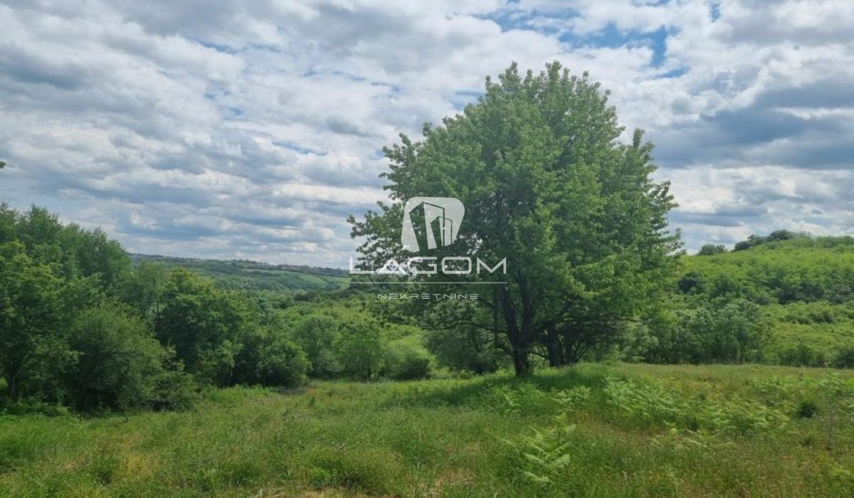 prodaja-lokala-nJnZhcRxxm Plac Prodaja Beograd Guncati 13918 m2