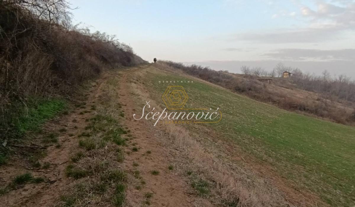 Plac Prodaja Novi Sad Plac Prodaja Novi Sad 10537 m2