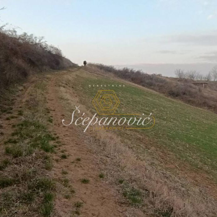 Plac Prodaja Novi Sad  10537 m2