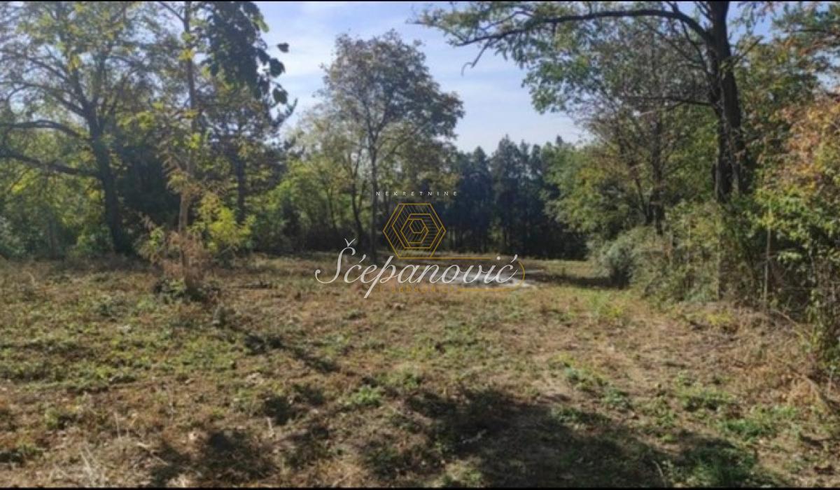 Plac Prodaja Inđija  1814 m2