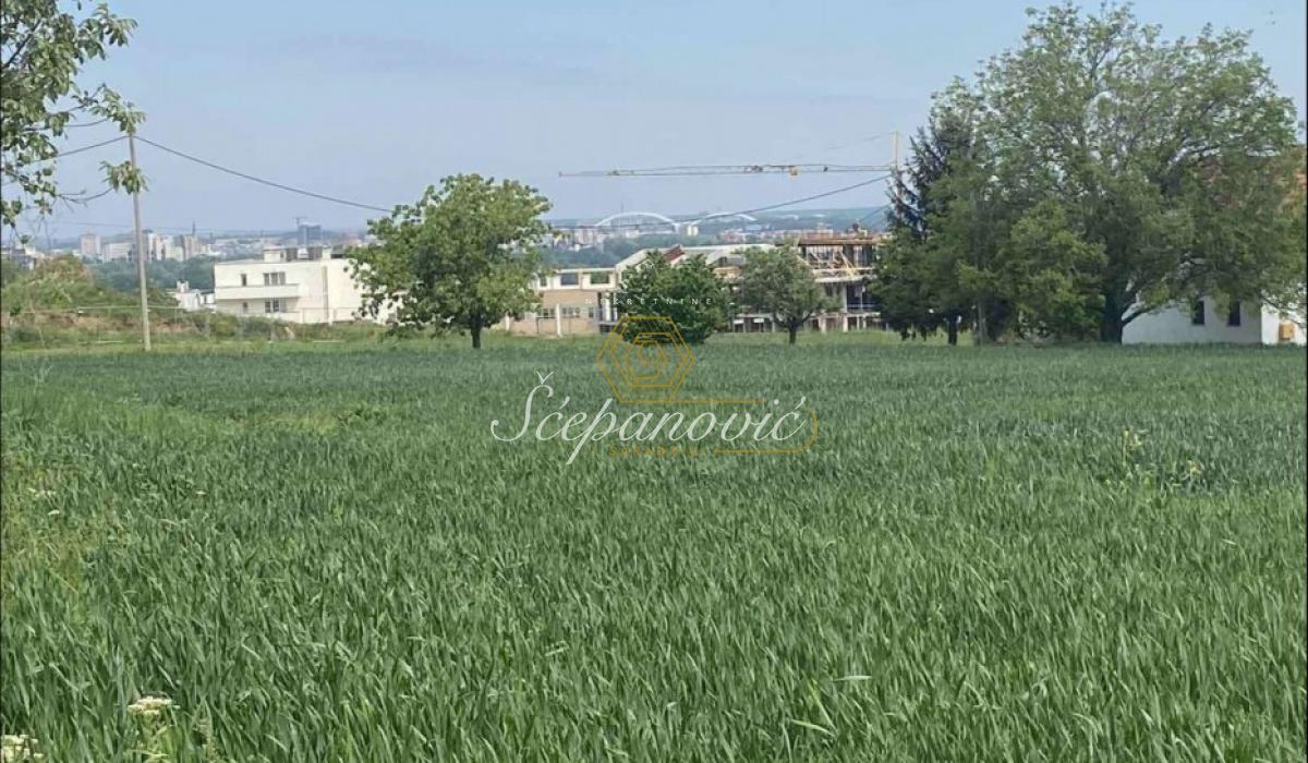 Plac Prodaja Novi Sad Popovica 0 m2