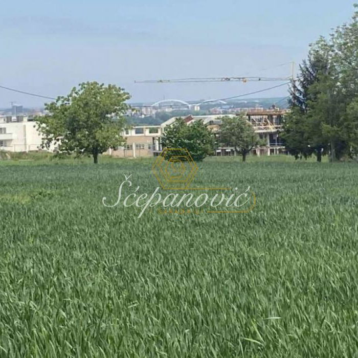 Plac Prodaja Novi Sad Popovica 0 m2