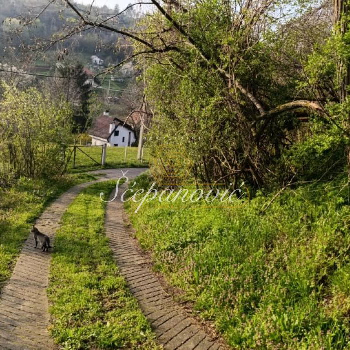 Plac Prodaja Novi Sad  1390 m2