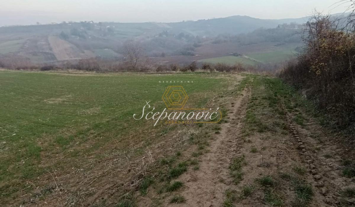Plac Prodaja Novi Sad Plac Prodaja Novi Sad 10537 m2