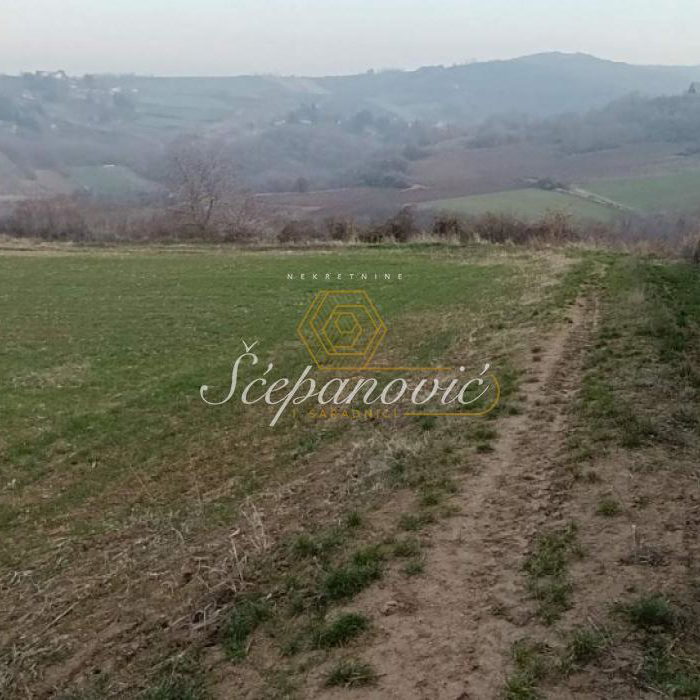 Plac Prodaja Novi Sad  10537 m2