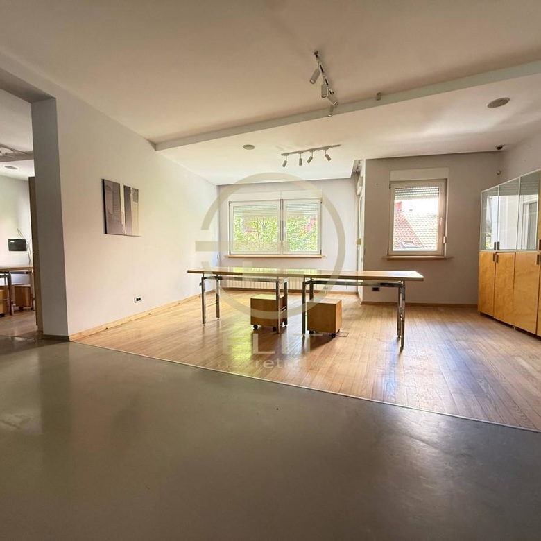 Lokal Izdavanje Novi Sad  254 m2